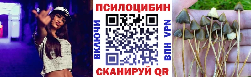 Купить где  Новосиль  Галлюциногенные грибы MAGIC MUSHROOMS 